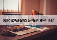 英特尔区块链公司怎么样知乎[英特尔项目]