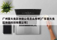 广州萤火虫区块链公司怎么样啊[广东萤火虫区块链科技有限公司]