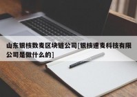 山东银核数麦区块链公司[银核速麦科技有限公司是做什么的]